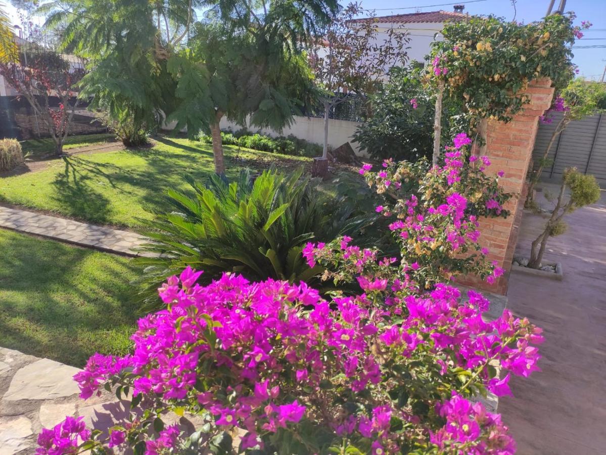 Villa Parets De Sucre Les Cases d'Alcanar Extérieur photo